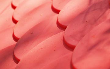 Tibenham plastic roof costs