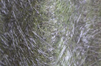 Tibenham fibreglass roof work